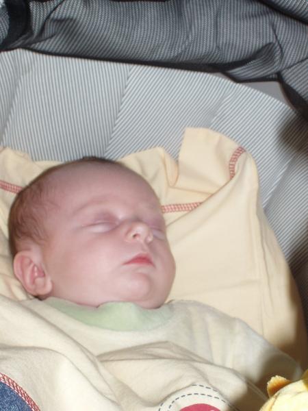 le 27 mars 2006
